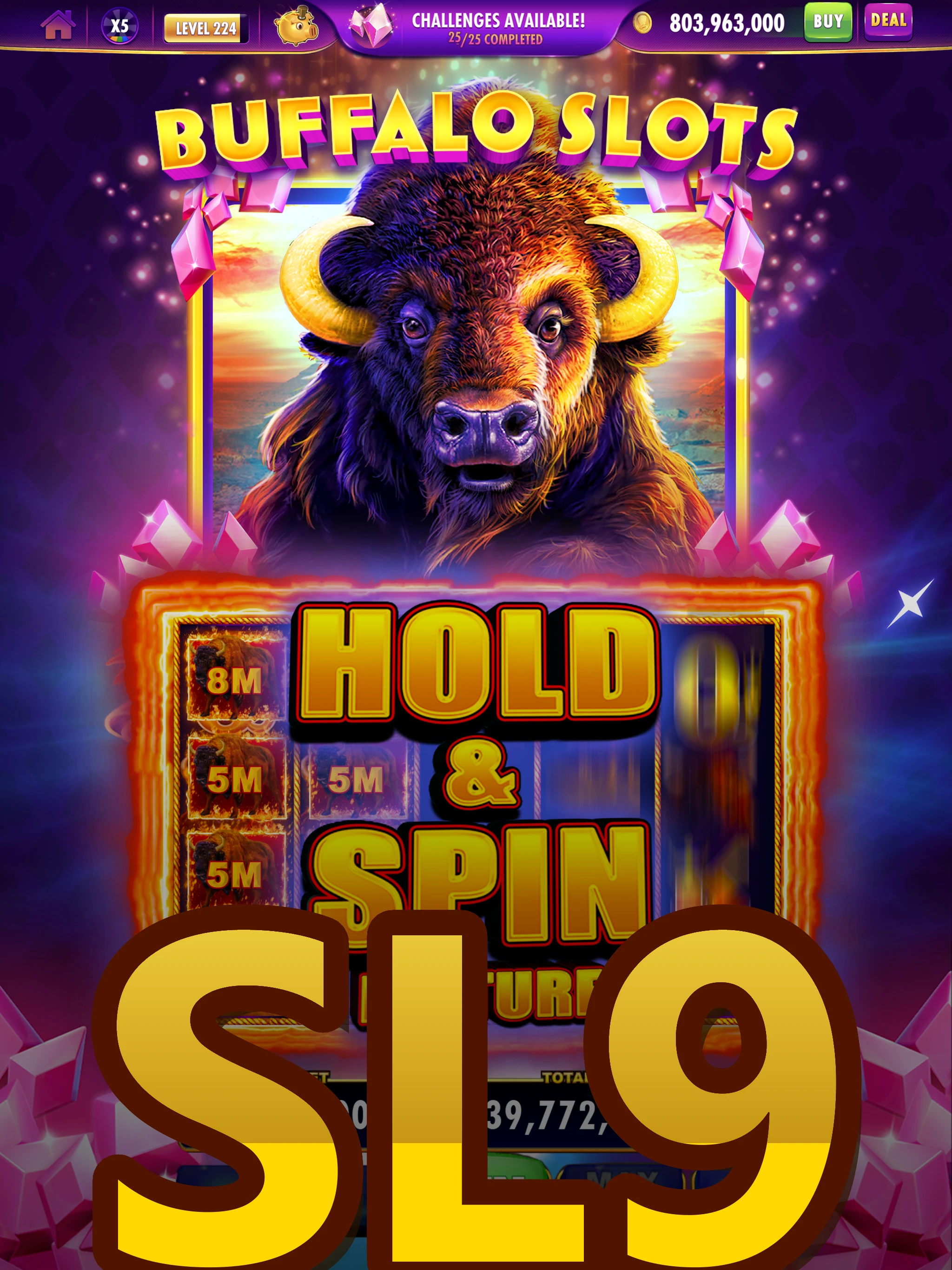 SL9 screenshot